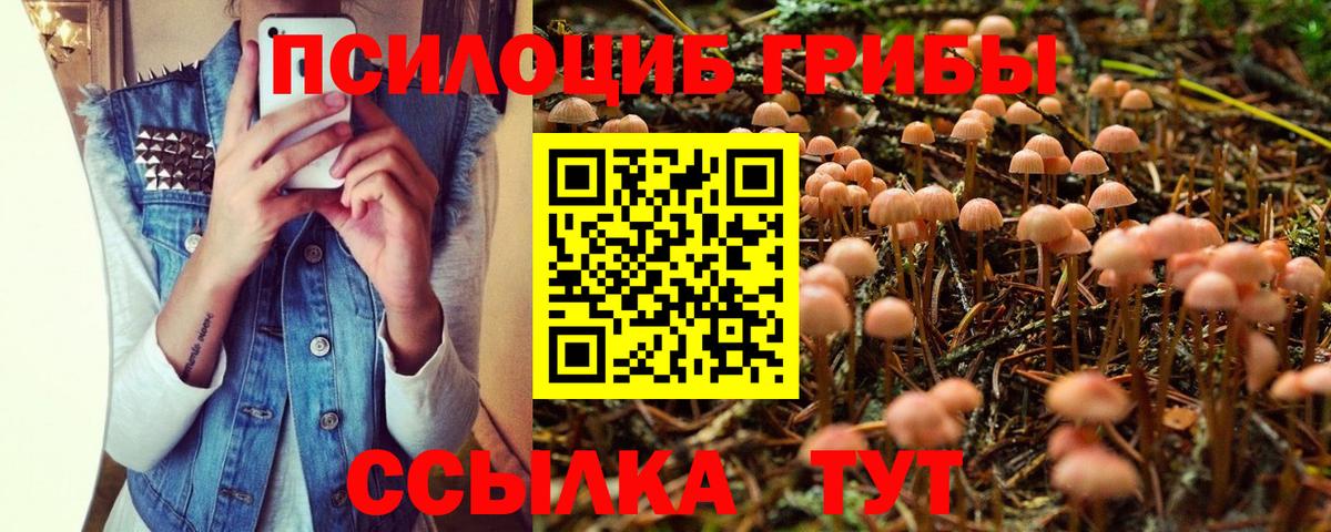 Малгобек  Галлюциногенные грибы мицелий  купить  цена  Вход с VPN 