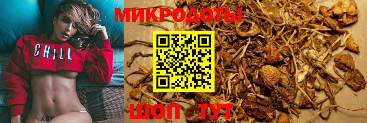 Галлюциногенные грибы Psilocybine cubensis Малгобек